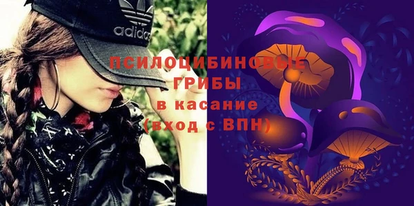 ГАЛЛЮЦИНОГЕННЫЕ ГРИБЫ Всеволожск