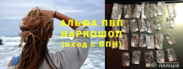 тгк Новодвинск